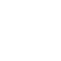 fl-single-icon